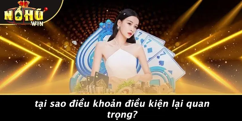 điều khoản điều kiện